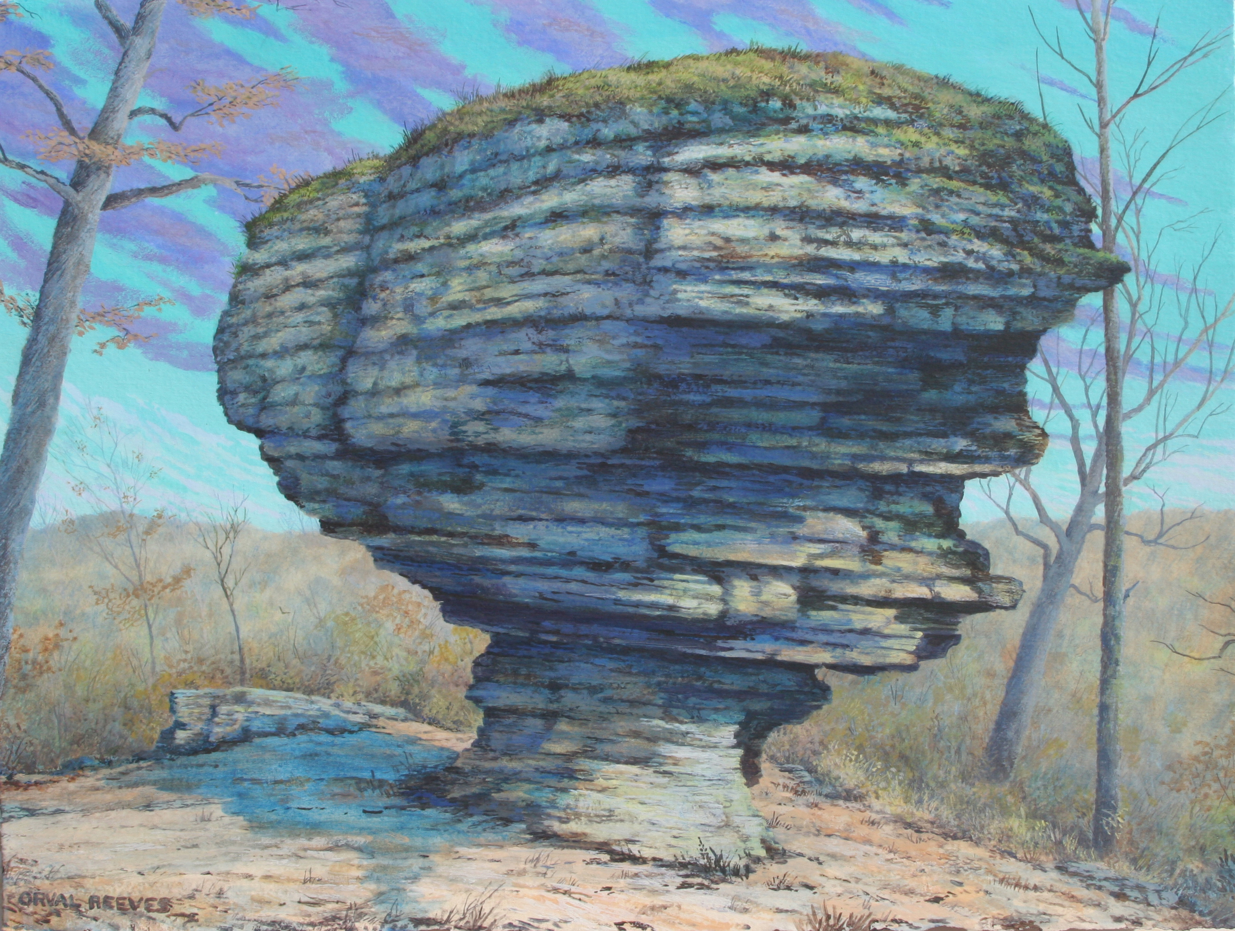 Nature’s Balance