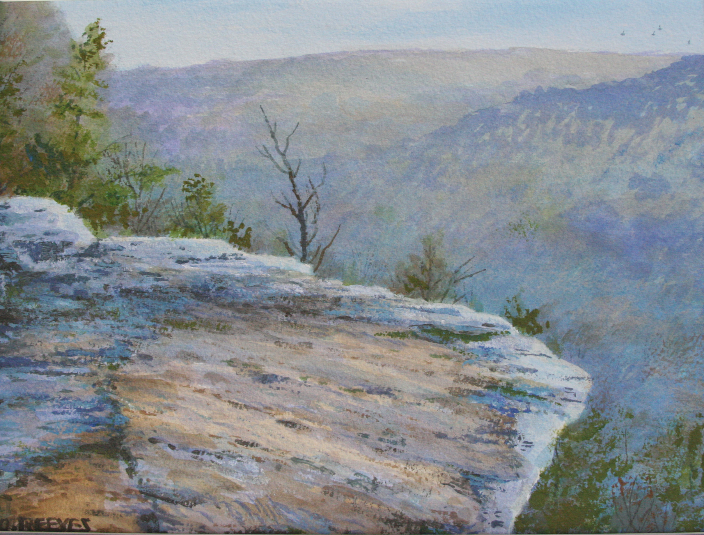 Cliff Study