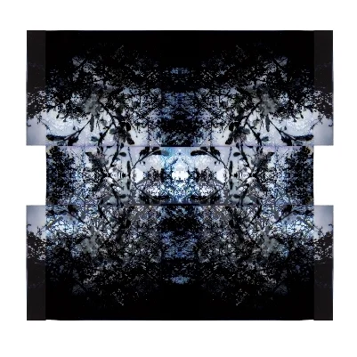 Lomo 2.jpg