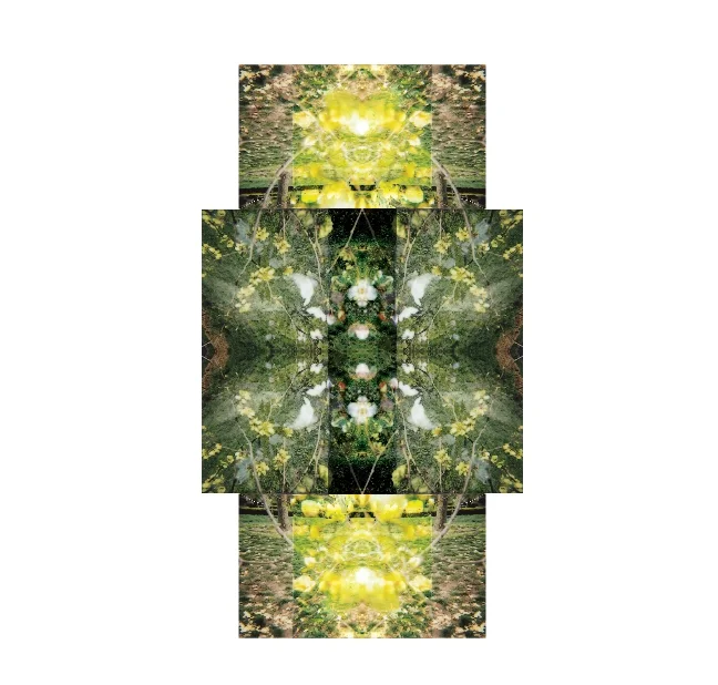 Lomo 9.jpg