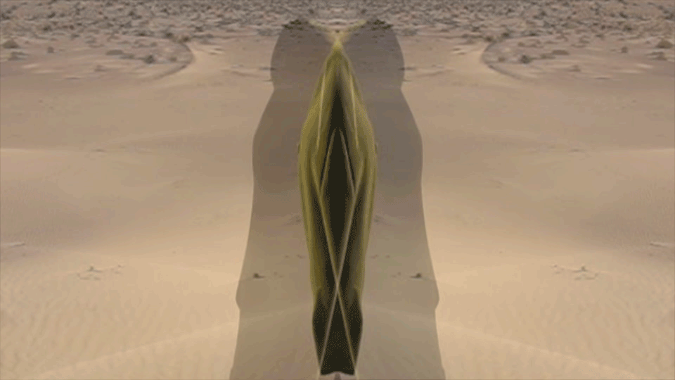 GIF-7.gif