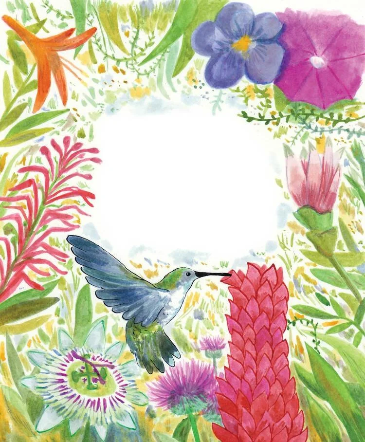 Hummingbird-+-Bleed.jpg
