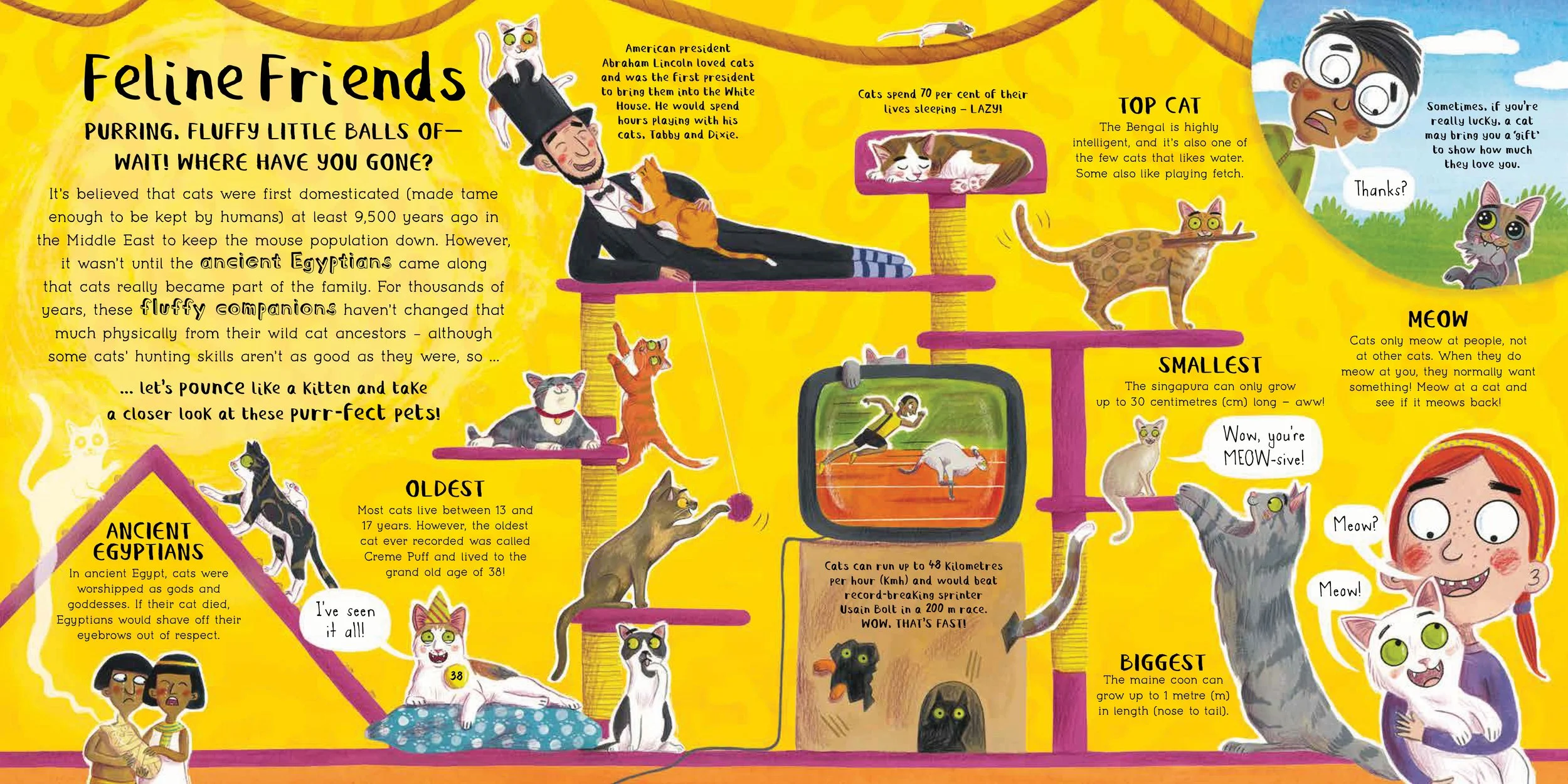 Do You Love Pets Matt Robertson Illustration
