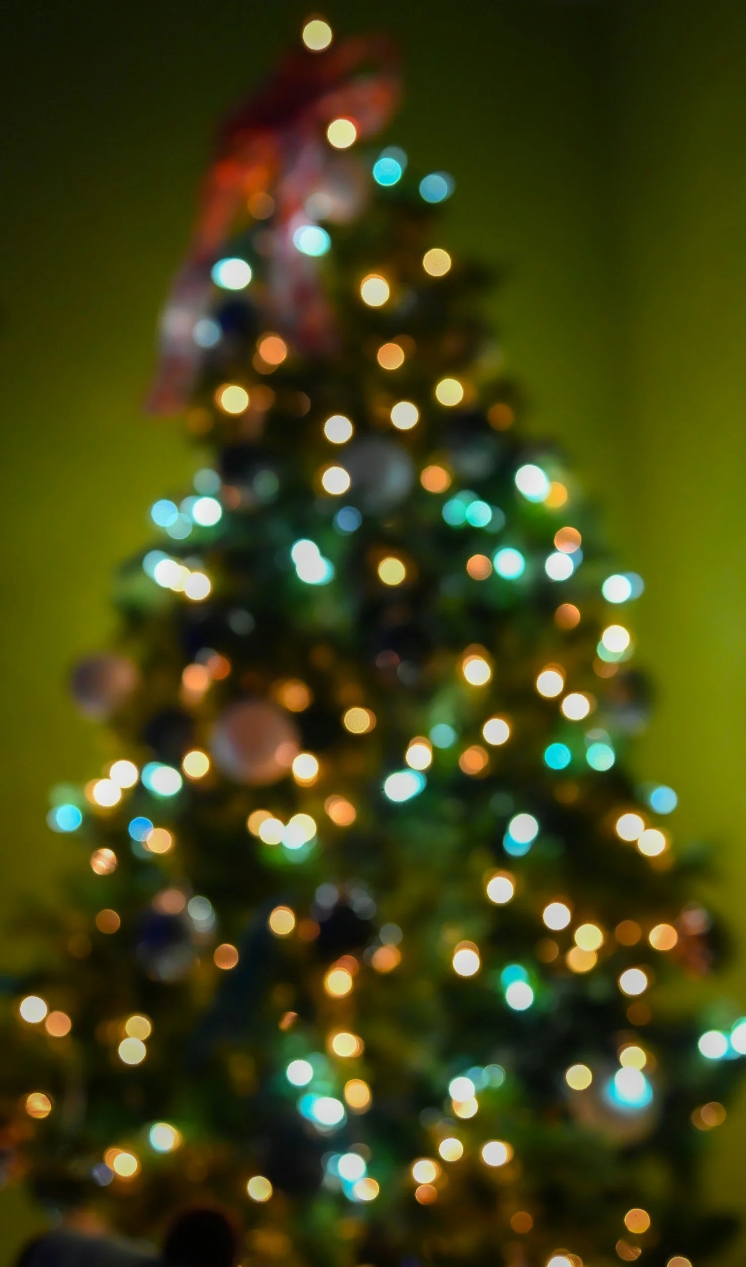 Tree Lighting