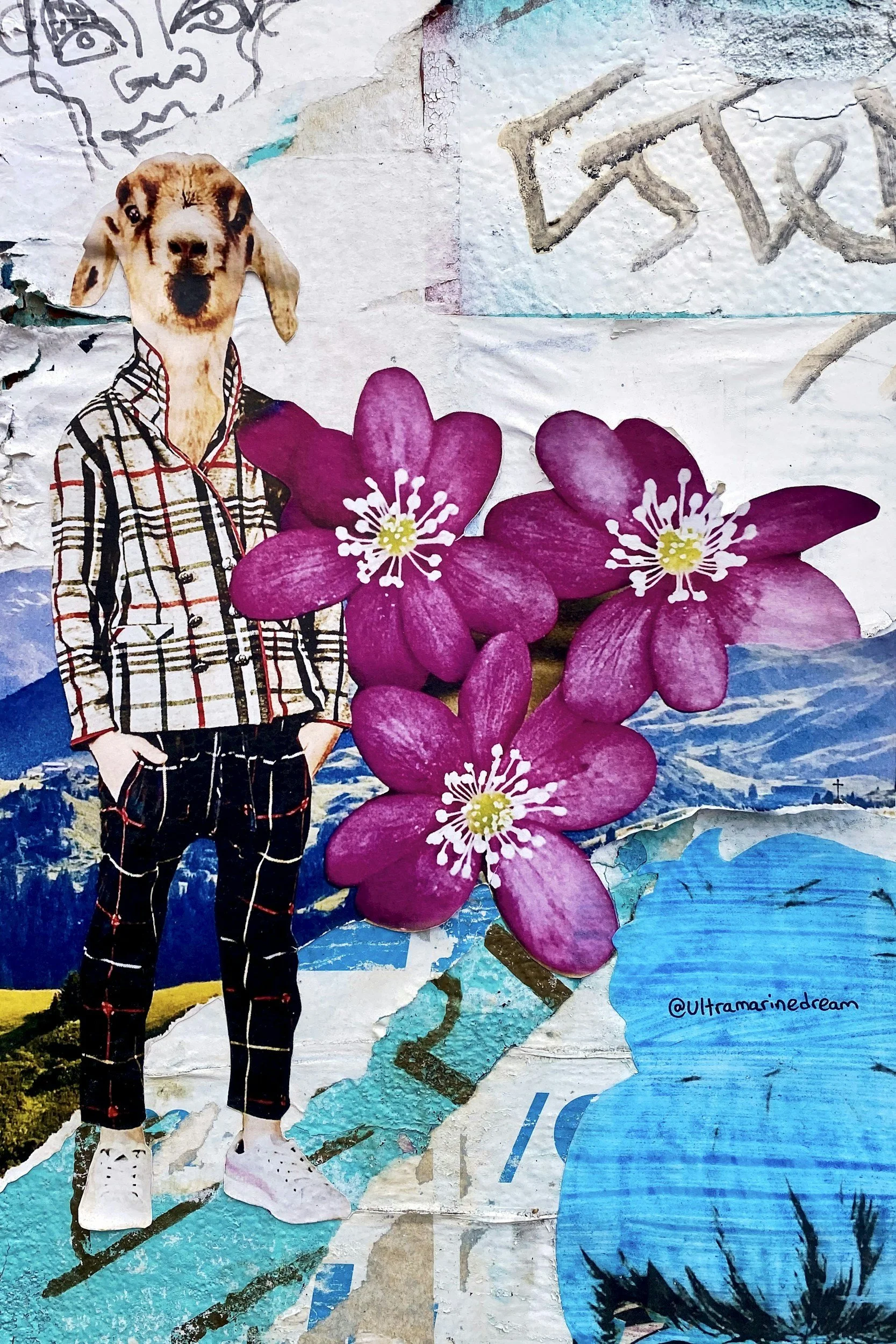 Collage-Making with Meredith Leoni