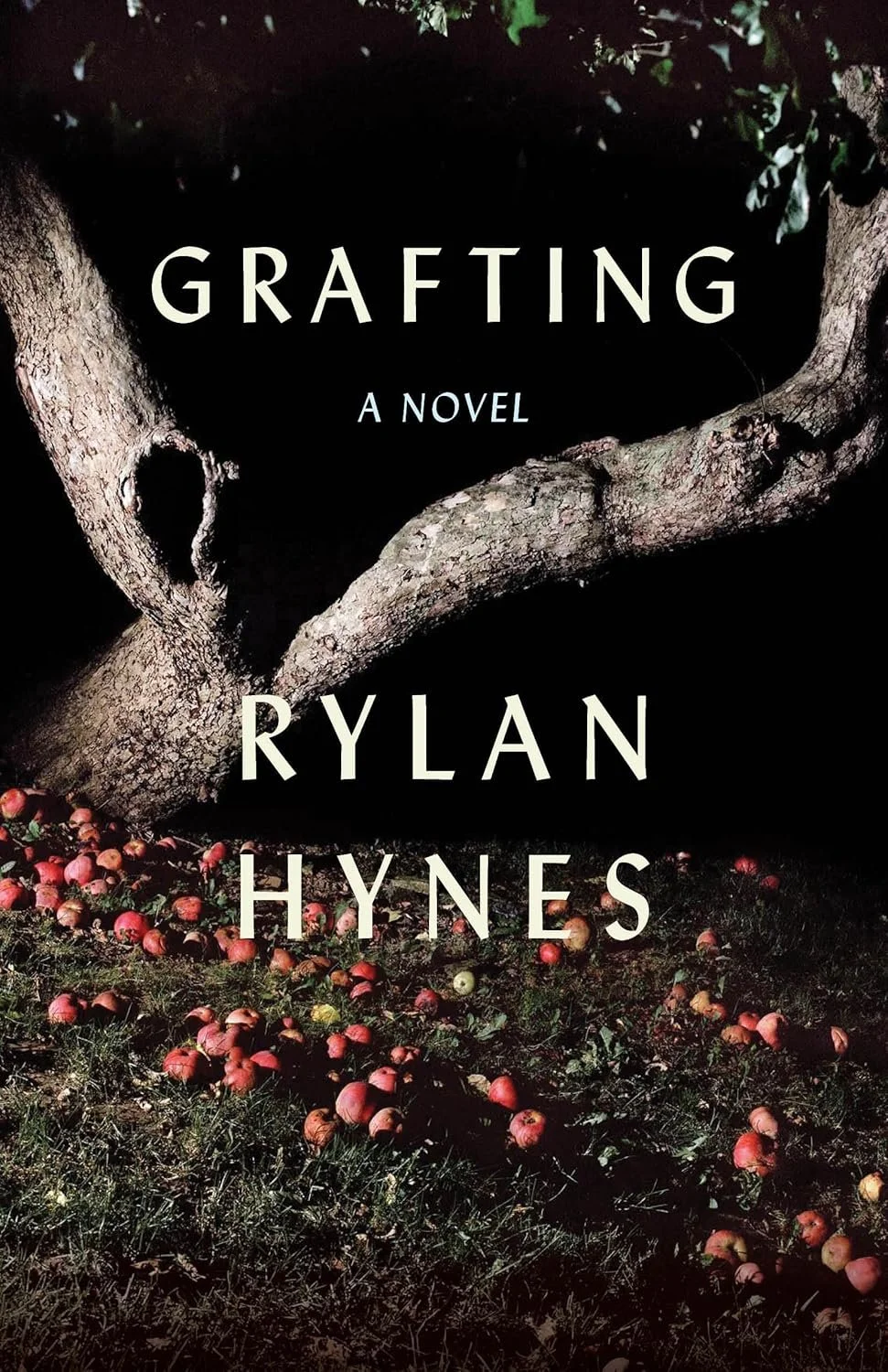 Author Talk: Rylan Hynes