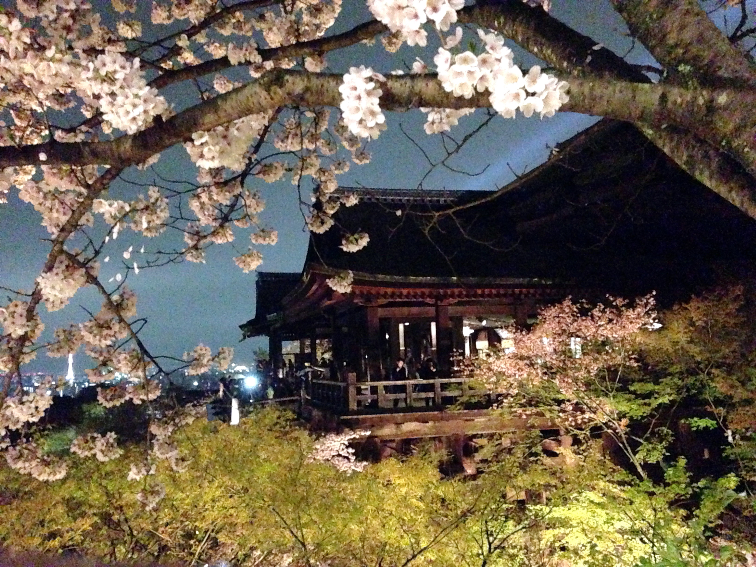 Kiyomizu-dera at night
