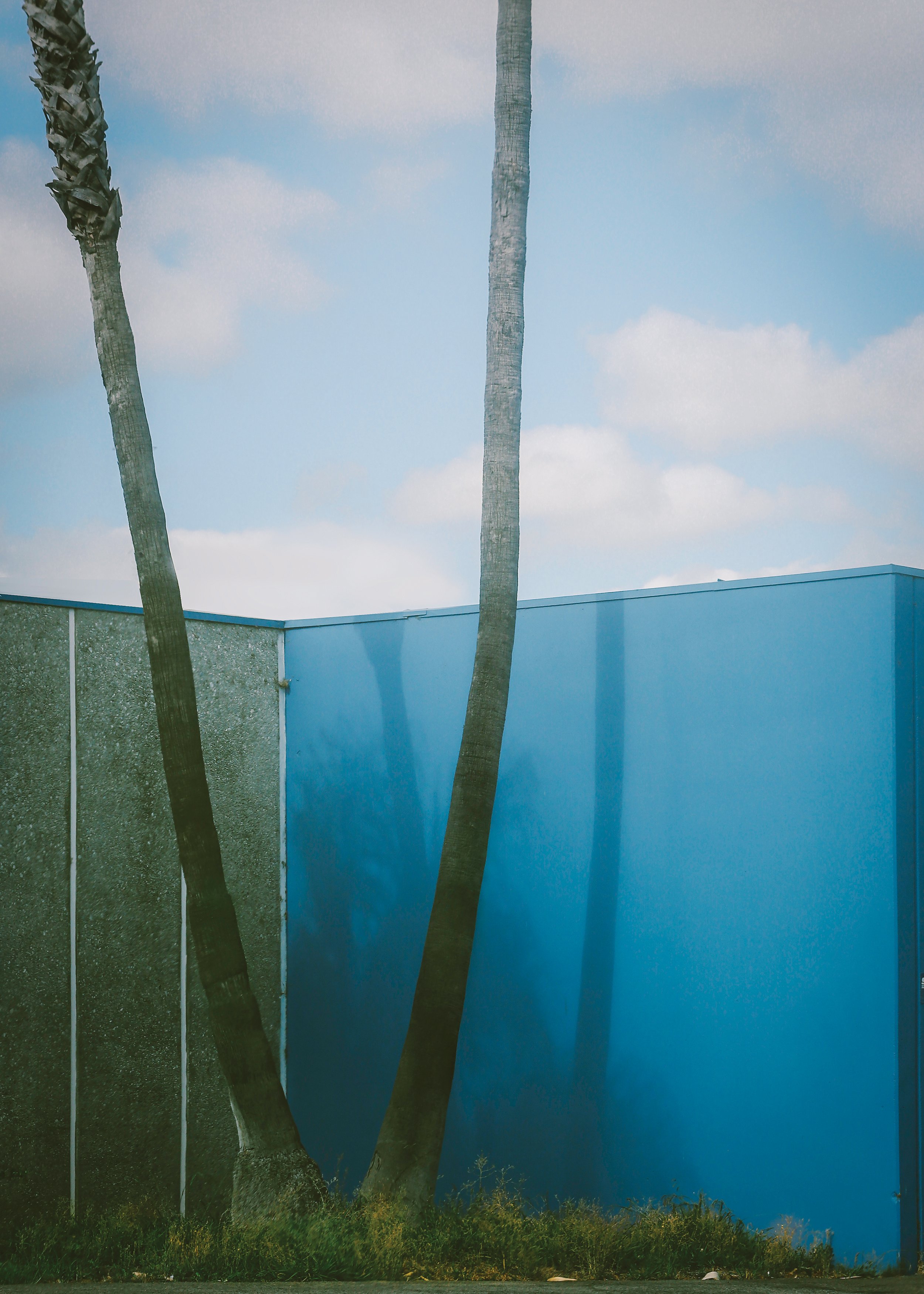 Verticals Blue Wall_Buena Park_Rachelle Mendez.jpg