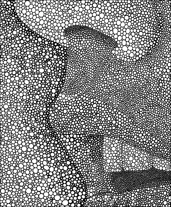 Her (detail) / pen on paper / 14" x 17" / 2012