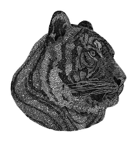 Tigress
