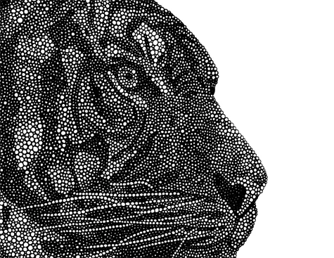 Tigress detail
