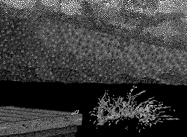 Greenwood Lake (detail) / pen and ink on paper / 12.5" x 17" / 2014