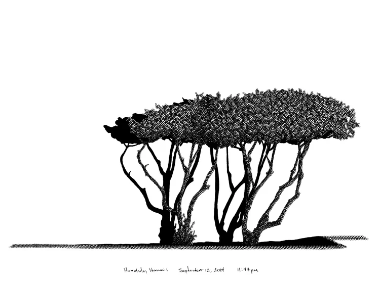 Honolulu / pen and ink on paper / 12.5" x 16" / 2014