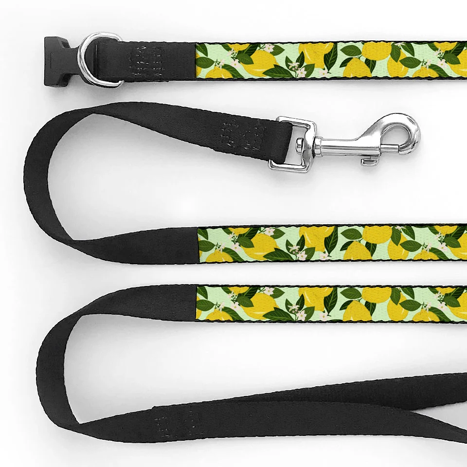Collars_01_2.jpg