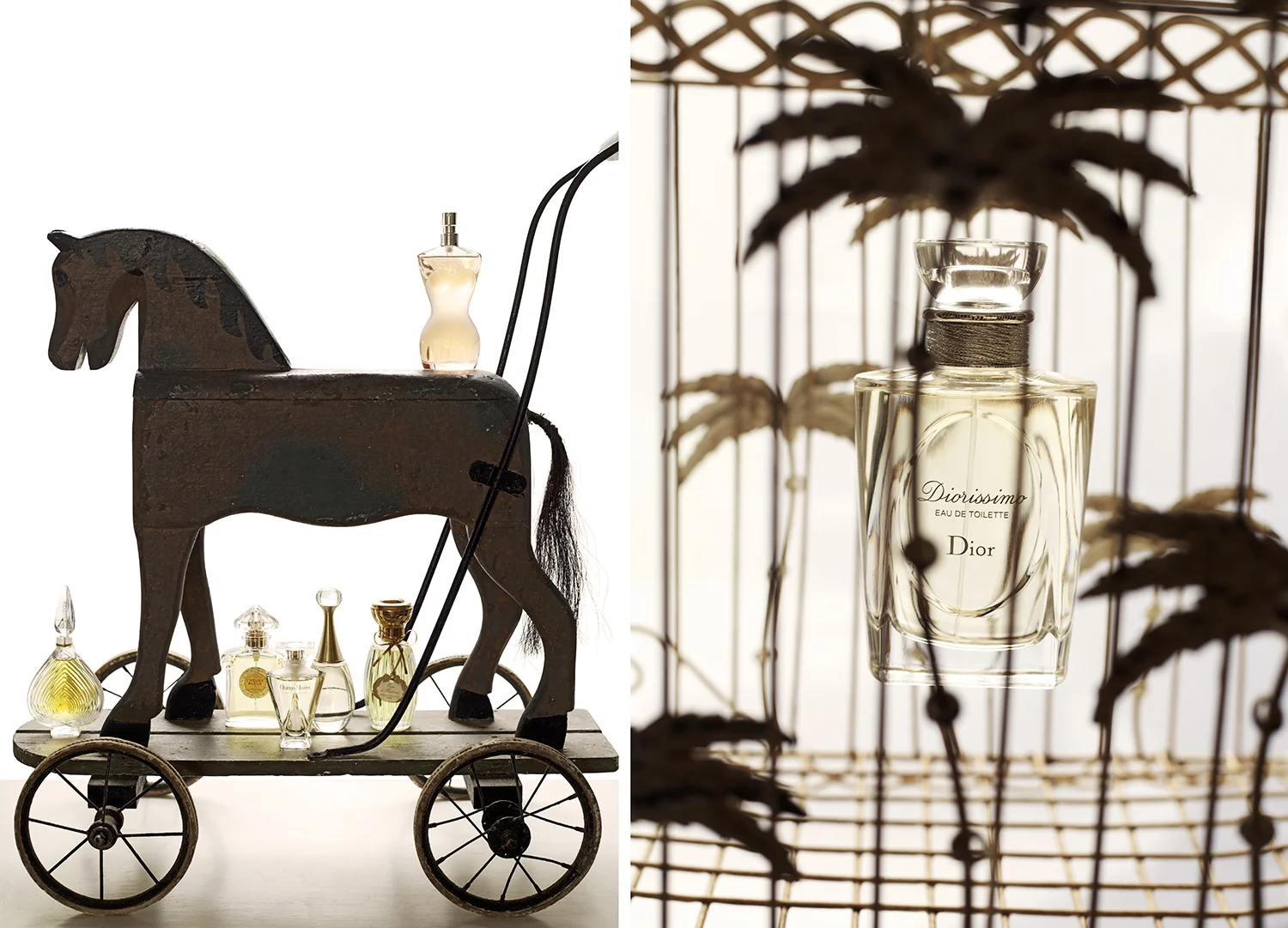Fragrance feature 2012