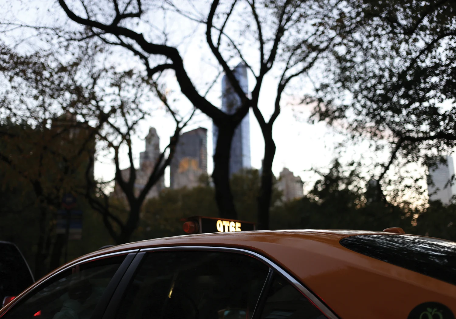 Central Park taxi