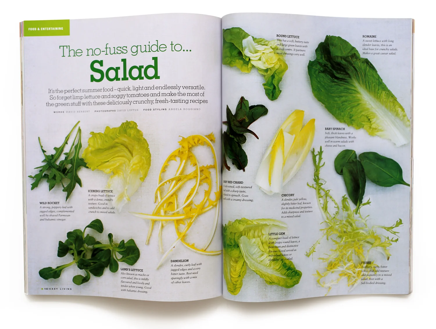 EL salad.jpg
