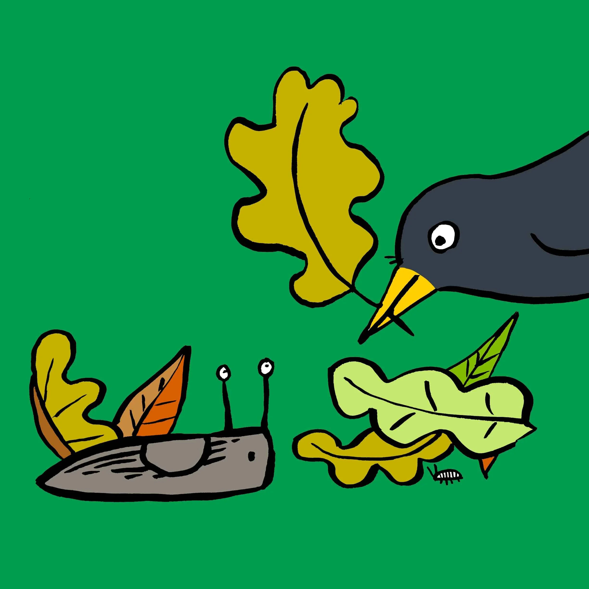 SLUG & BIRD.jpg