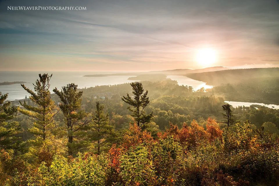 Photographer Profile: Neil Weaver