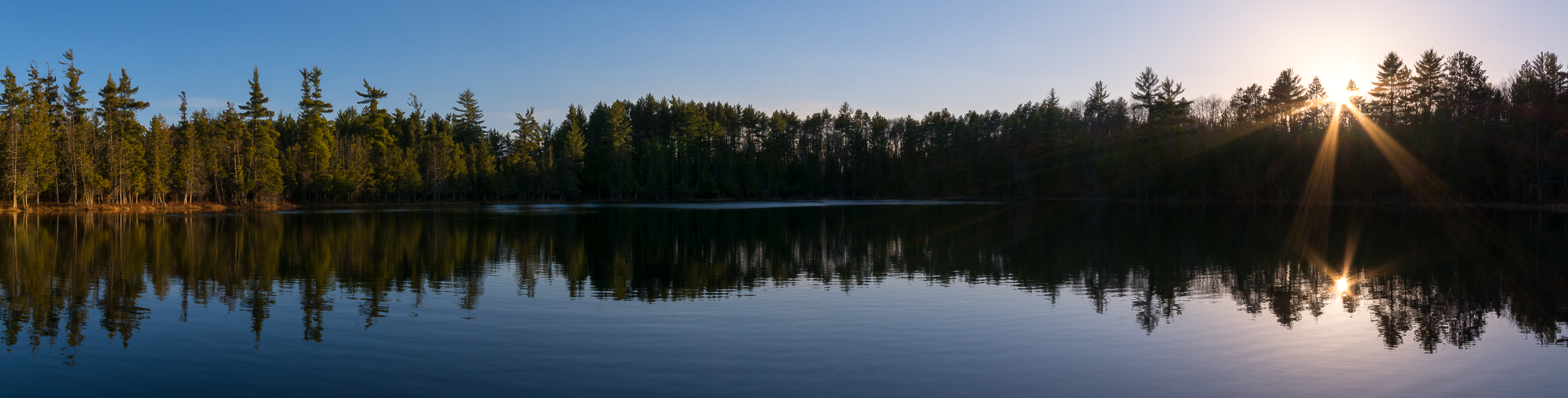 Hartwick Pines State Park