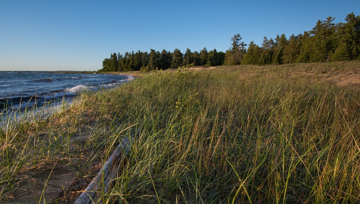 Wilderness-3.jpg