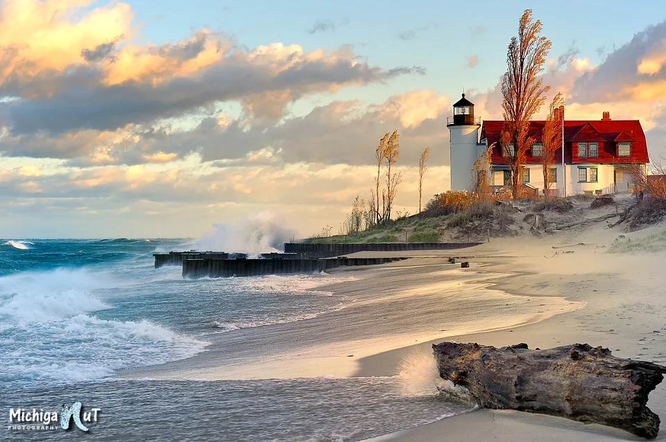 Photographer Profile: John McCormick