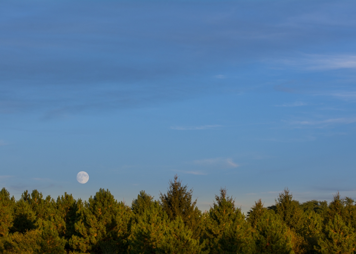 Sleepy Hollow State Park #1