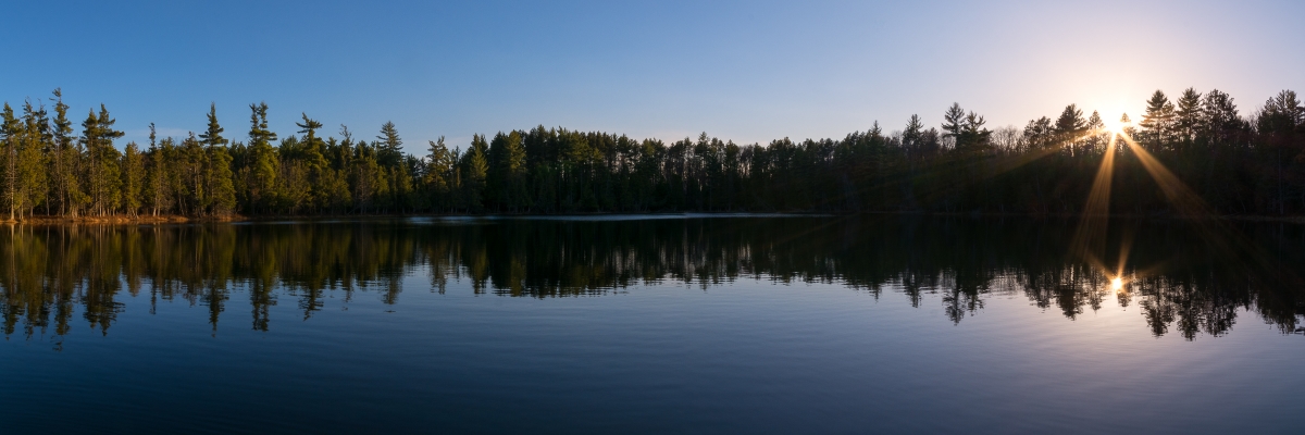 Hartwick Pines State Park #1