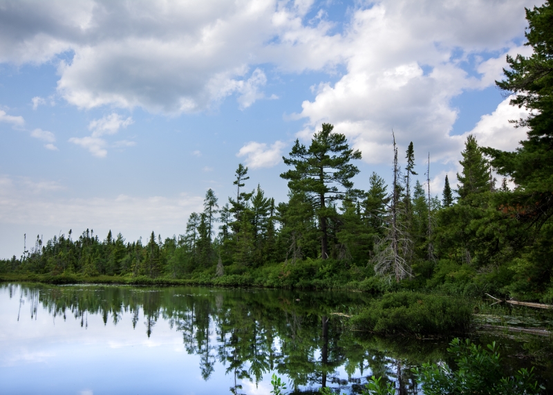 Tahquamenon Falls State Park #1