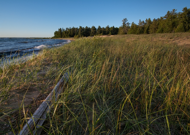 Wilderness State Park #2