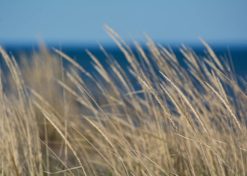 Tawas Point State Park #1