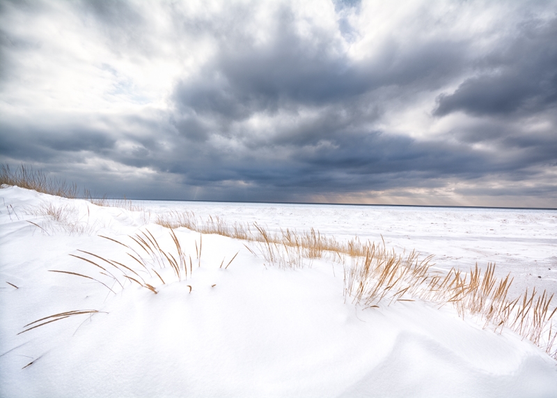 Ludington State Park #1