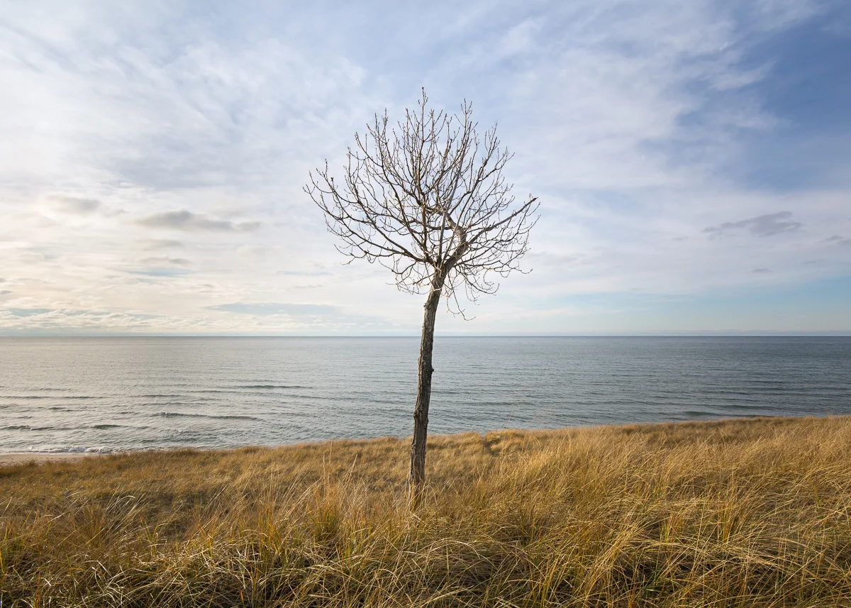 Suagatuck Dunes State Park #2