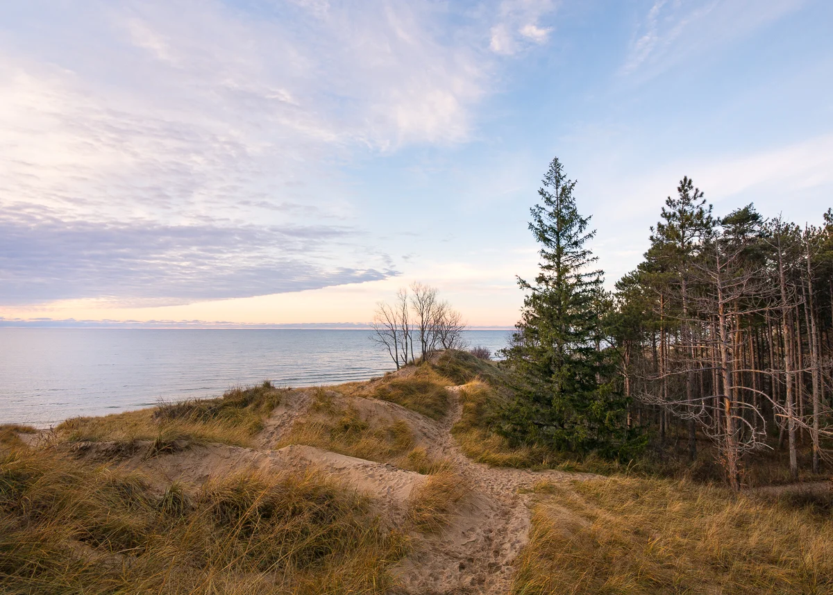 Saugatuck Dunes State Park #3