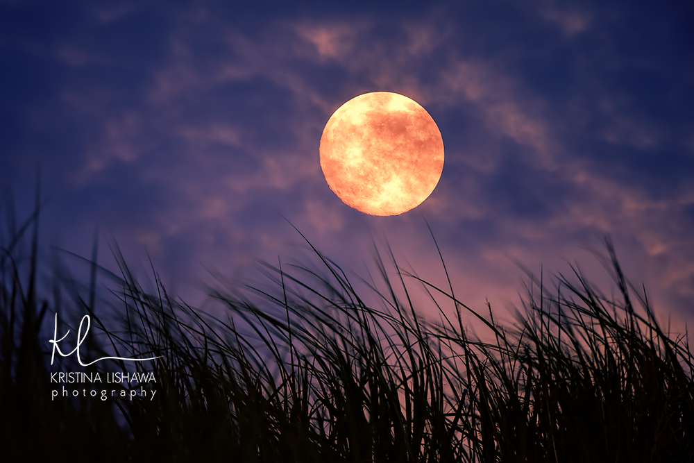 Strawberry Moon over Sleeping Bear Dunes.jpg