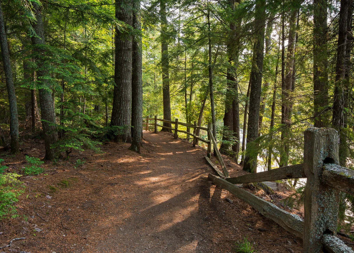 Tahquamenon Falls State Park #4