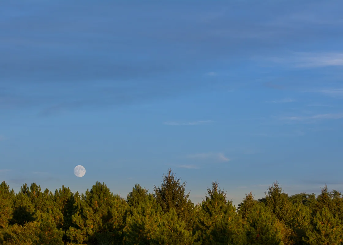 Sleepy Hollow State Park #1
