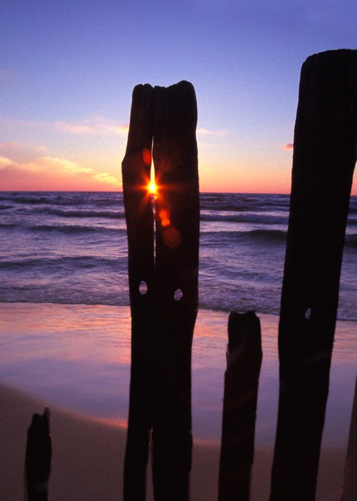 Sun Through Piling