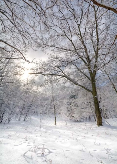 After Snow