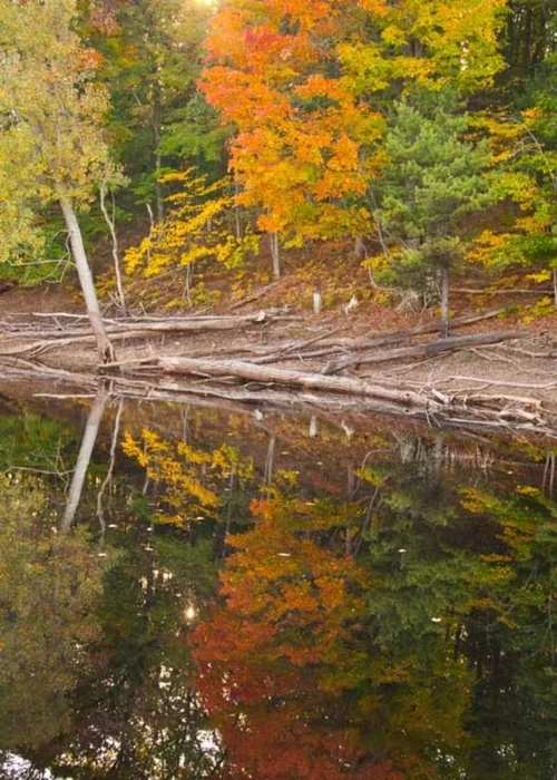 Mirror Lake, Manistee National Forest