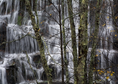 Last of Autumn, Bond Falls.
