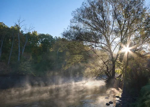 Fall Morning, Huron River.