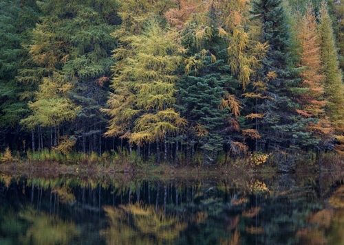 Kitch-it-kipi spring at Palm Book State Park. Manistique, MI.