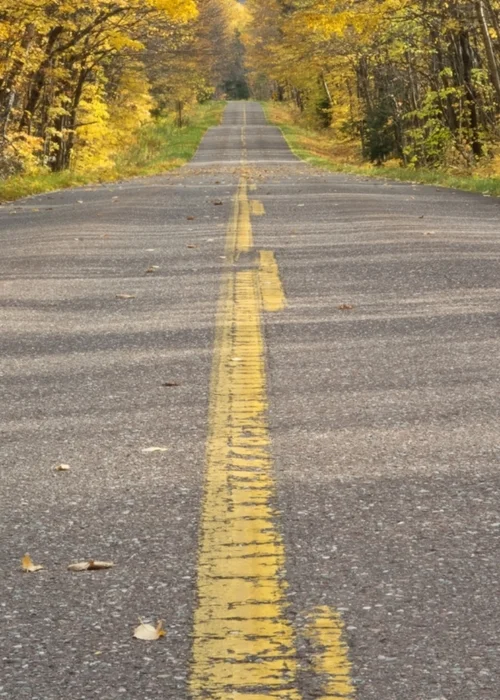 South Boundary Road