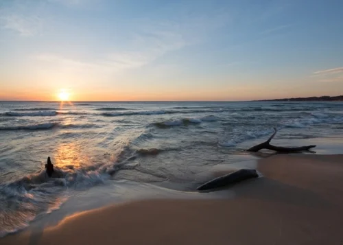 Driftwood and Sunset