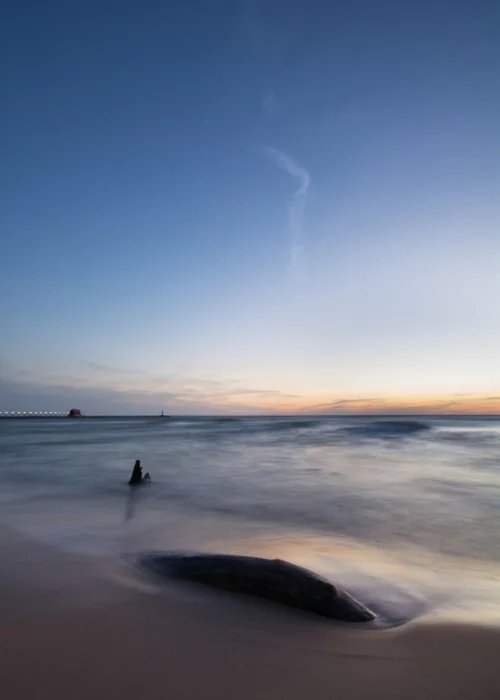 Driftwood and Cloud
