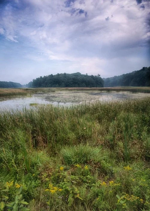 Marsh, Passing Storm