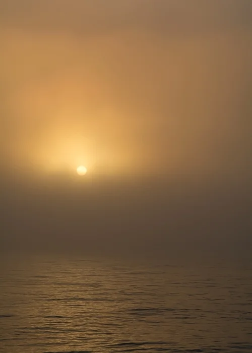Foggy Sunset