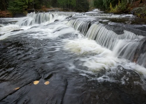 Yellow Leaves, Bond Falls.