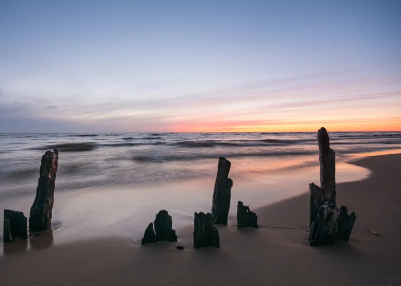 Pilings at Kirk Park